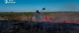 Понад 4 гектари вигоріло через спалювання сухої трави на Вінниччині