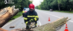 Повалені дерева та затоплені двори негода знову випробувала Вінниччину на міцність