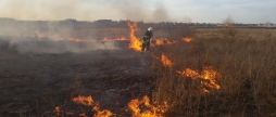 Протягом вихідних рятувальники Вінниччини загасили 17 пожеж в екосистемах