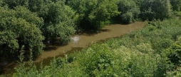Річку Мурафа на Вінниччині забруднювали відходами з підприємства 