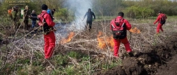 Рятувальники провели спільні навчання з оратівськими лісниками