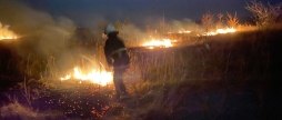 Рятувальники п'ять разів виїжджали на ліквідацію загорянь в екосистемах Вінницької області