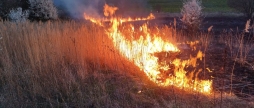Рятувальники Вінниччини за добу загасили 12 загорянь сухої рослинності