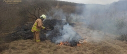 Рятувальники закликають вінничан не провокувати пожежі в екосистемах