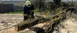 Рятувальники розчищали автошляхи від повалених дерев у двох районах Вінницької області