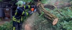 Рятувальники розкряжовували повалені дерева у двох районах області та у Вінниці