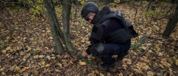 Сапери знищили на Вінниччині гранату часів Другої світової
