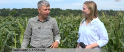 Як вінничанин вирощує мексиканський трюфель