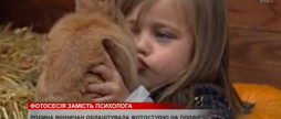 Вінничани облаштували своє подвір’я яскравими фотозонами
