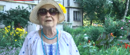 Вінничани можуть поспостерігати за зорепадом Персеїди