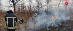 Вінницькі рятувальники нагадують - спалювання рослинності у воєнний час прирівнюється до диверсії