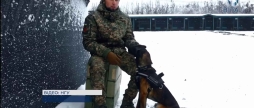 Службові собаки у Нацгвардії як бельгійська вівчарка допомагає захищати Україну