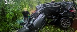 Смертельна ДТП у Тиврівській громаді загинули 22-річний водій та його бабуся