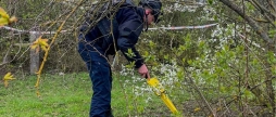Смертельне залізо рятувальники Вінниччини знищили артилерійські боєприпаси минулого століття