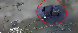 Смертельний випадок на воді у селі на Вінниччині загинув 60-річний місцевий мешканець