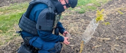 Снаряд просто неба на Вінниччині ліквідували загрозу часів війни