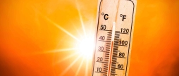 Спека у Вінниці 25 серпня може побити черговий температурний рекорд 