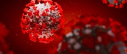 Станом на 8 березня на Вінниччині 1041 людина хворіє на коронавірус