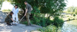 Стічні води можуть забруднювати став Поділля у Вінниці екологи та муніципалітет взяли проби води для дослідження