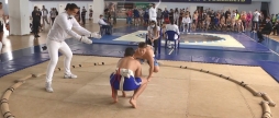 Вихованці 5-ї спортшколи Вінниці вибороли 43 медалі на обласному чемпіонаті