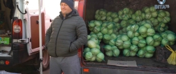 Ціни на капусту рекордно виросли скільки коштує білокачанна на ринках Вінниці 