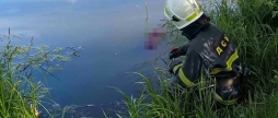 У Браїлові на Жмеринщині у ставку знайшли тіло мертвої жінки