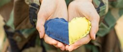 У День Української Державності вінничани долучаться до культурних подій