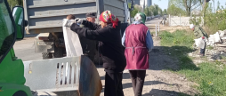 У Десні пройшла весняна толока — прибрали зелені зони та публічний простір