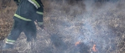У Тростянецькій та Іллінецькій громадах загасили пожежі в екосистемах