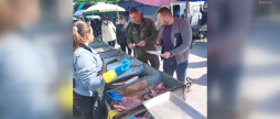 У Вінниці на місцевих ринках перевірили рибу на свіжість