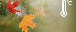 У Вінниці 27 листопада вдень обіцяють дощ і до дев'яти градусів тепла