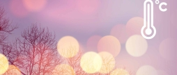 У Вінниці 5 січня - мінлива хмарність, без опадів