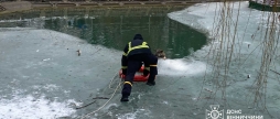 У Вінниці бійці ДСНС врятували собаку з крижаної пастки