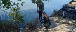У Вінниці перевірили якість води у Вишенському озері