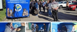 У Вінниці проводять кампанію з вакцинації домашніх тварин від сказу