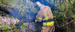 У Вінниці рятувальники звільнили проїжджу частину від поваленого дерева