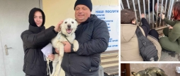 У Вінниці собаки з муніципального притулку знаходять нових господарів