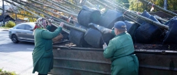 У Вінниці стартувала осіння висадка дерев та кущів - кленів, платанів, дубів і бірючини