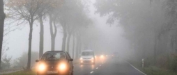 У Вінниці та області вночі та вранці 24 грудня — густий туман будьте обережні на дорозі
