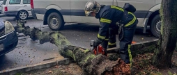 У Вінниці, Тульчинські та Іллінецькій громаді негода валила дерева