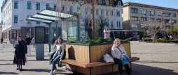 У Вінниці в середмісті встановлюють великі кашпо з зеленими насадженнями