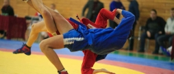 У Вінниці відбудеться благодійний турнір «Ліга Професійного Самбо 6.0» 