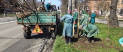 У Вінниці висаджують нові дерева на Хмельницькому шосе