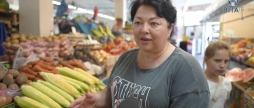 У Вінниці вже продають кукурудзу на ринках ціни можуть здивувати