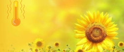 У Вінниці зафіксували понад півсторічний рекорд максимальної температури