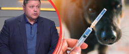 У Вінниці завершується компанія з вакцинації домашніх тварин