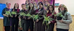 У вінницькому ліцеї №4 діти створили зелену стіну в їдальні