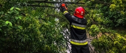 У Вінницькому районі рятувальники прибирали повалені вітром дерева