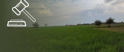 У власність держави повернули 203 гектари дослідницьких земель в Іллінецькій громаді
