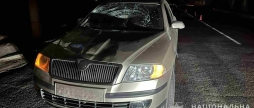 У Жмеринському районі водій Skoda збив 45-річного пішохода